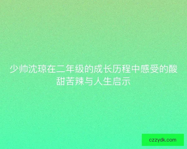 少帅沈琼在二年级的成长历程中感受的酸甜苦辣与人生启示