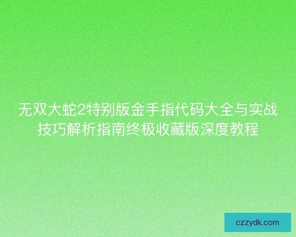 无双大蛇2特别版金手指代码大全与实战技巧解析指南终极收藏版深度教程